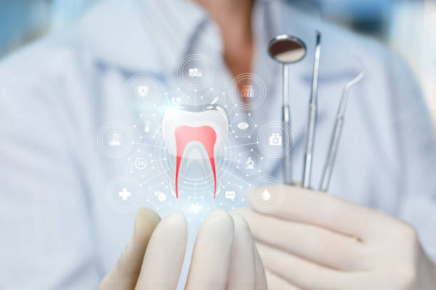 Best Full Mouth Reconstruction  in Auburn, ME